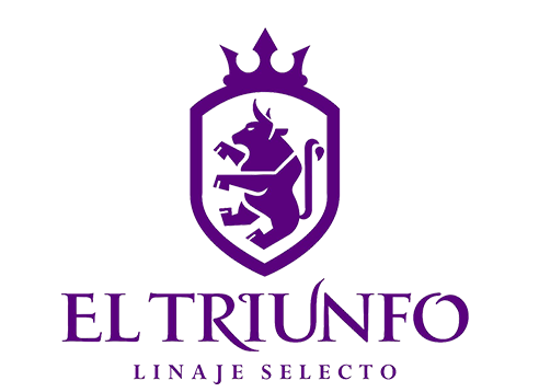El Triunfo